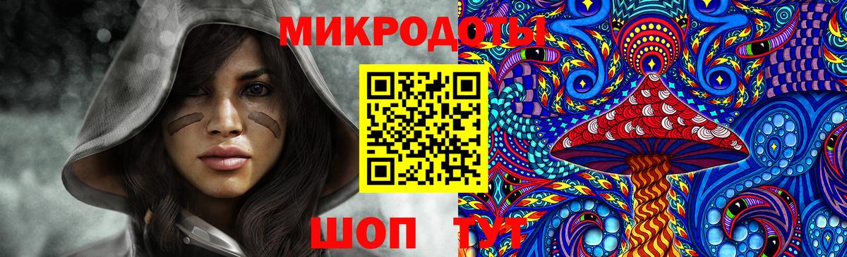 Прокопьевск  Псилоцибиновые грибы Psilocybe  Вход с VPN 