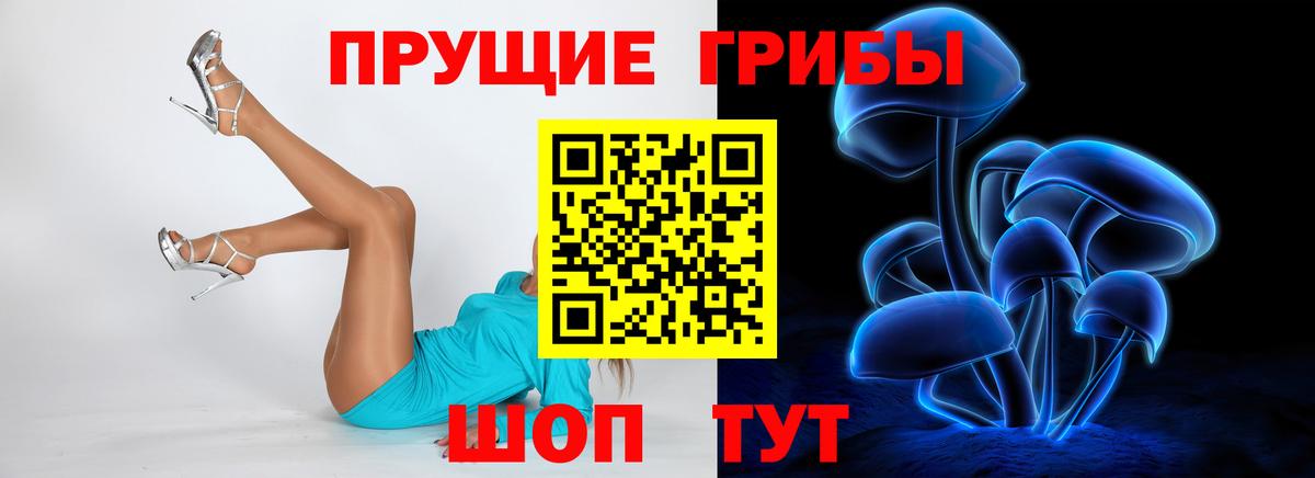 Псилоцибиновые грибы мухоморы Прокопьевск